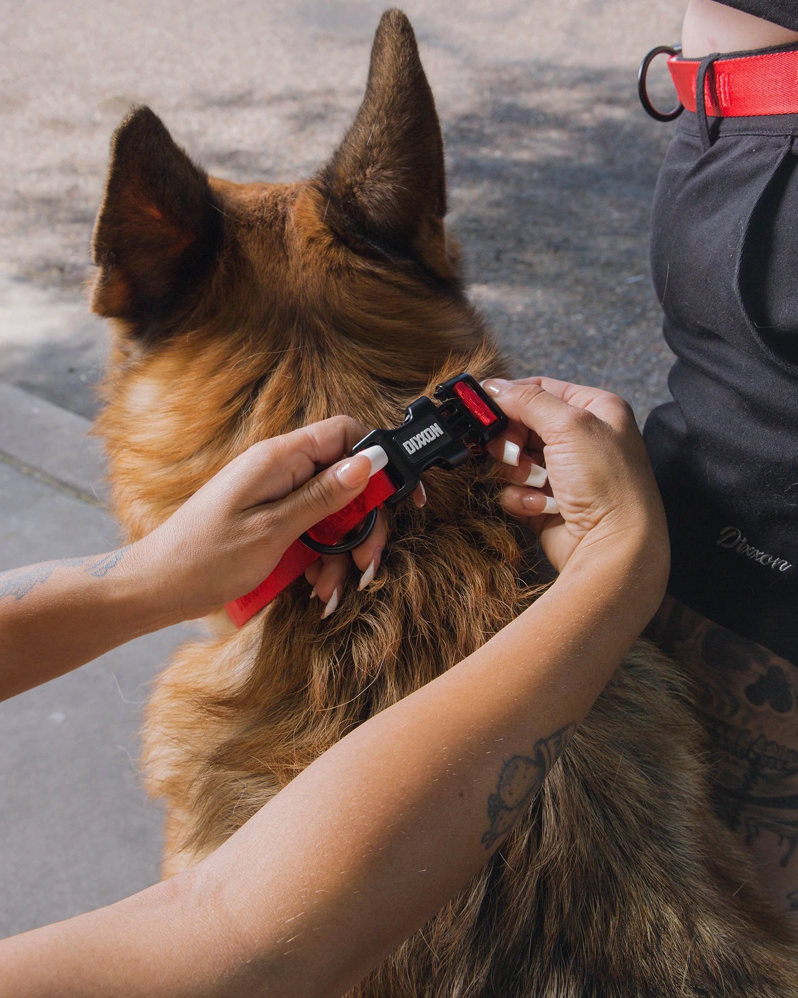 Dixxon Dog Collar - Red - Image 2