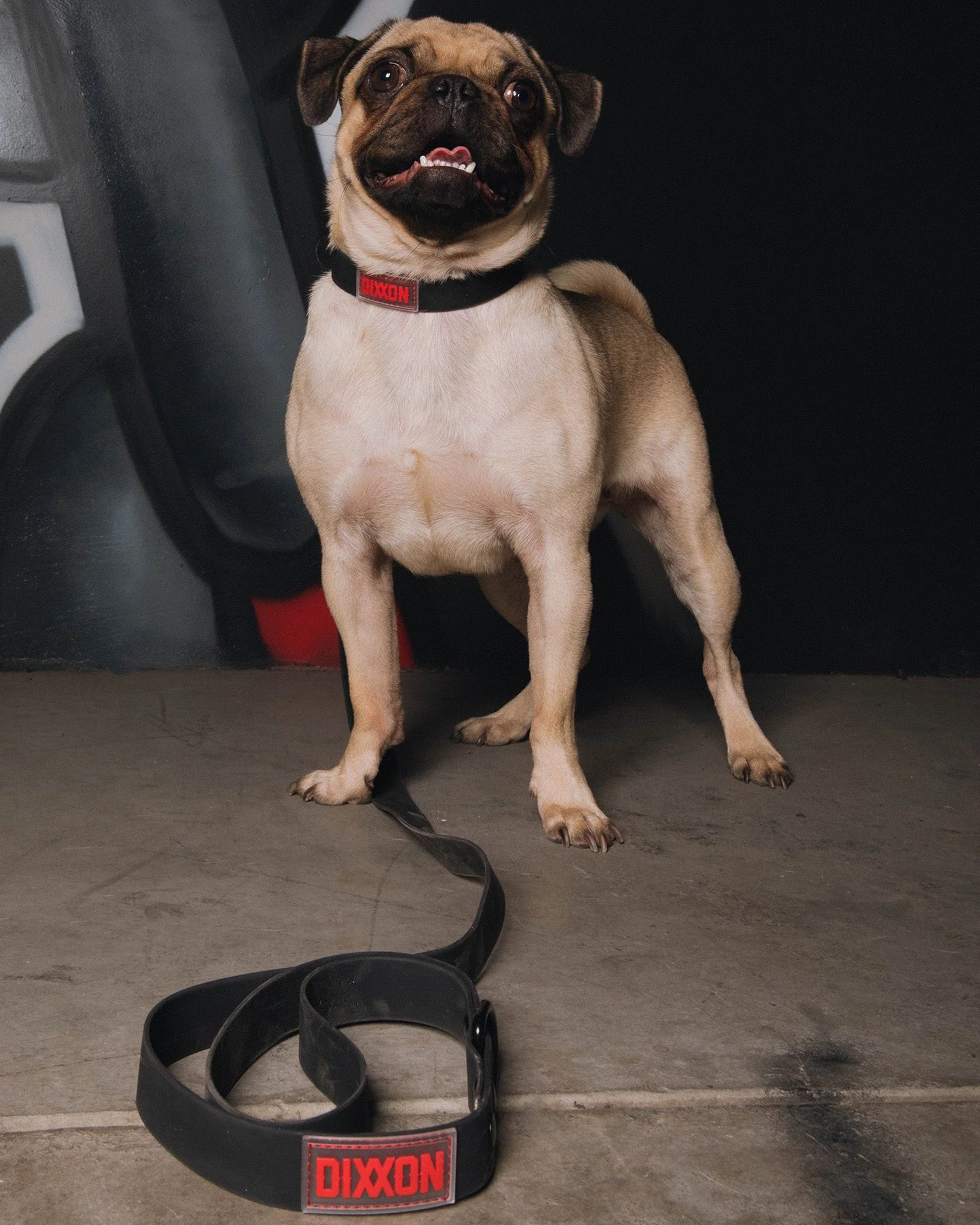 Dixxon Rubber Dog Collar - Black & Red - Image 2