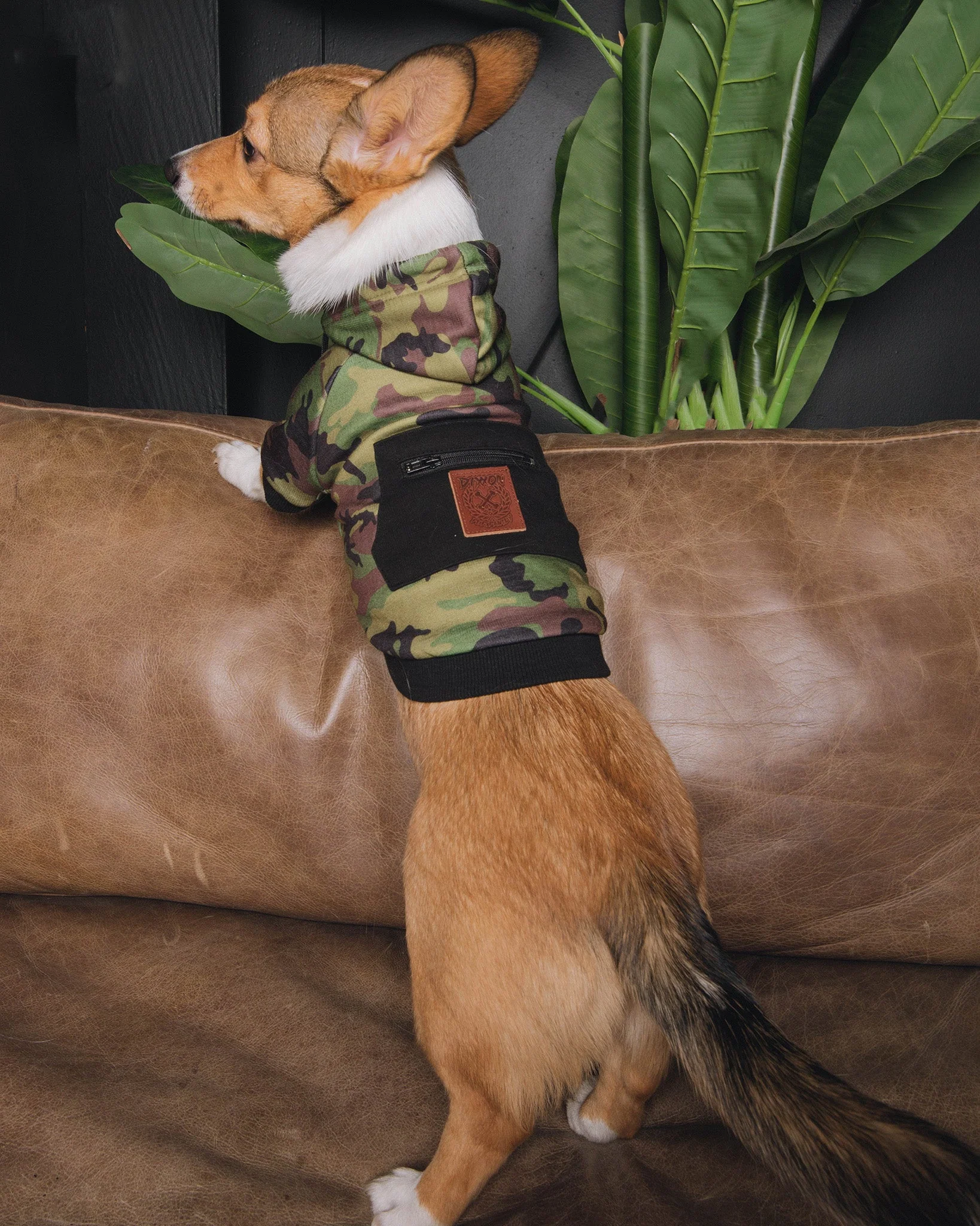 Dog Hoodie - Camo - Image 2