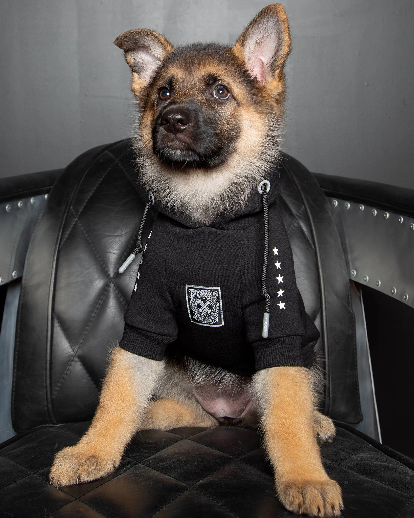 Dog Hoodie - Fur Family - Black & Gray - Image 2