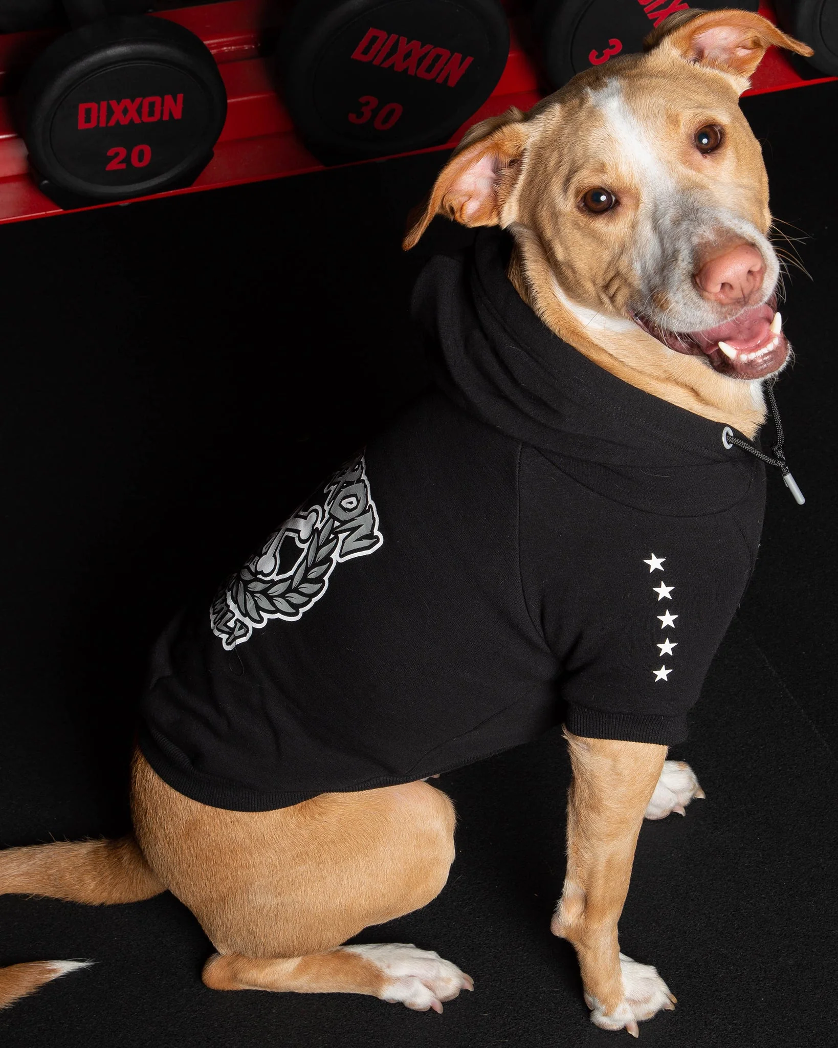 Dog Hoodie - Fur Family - Black & Gray - Image 4
