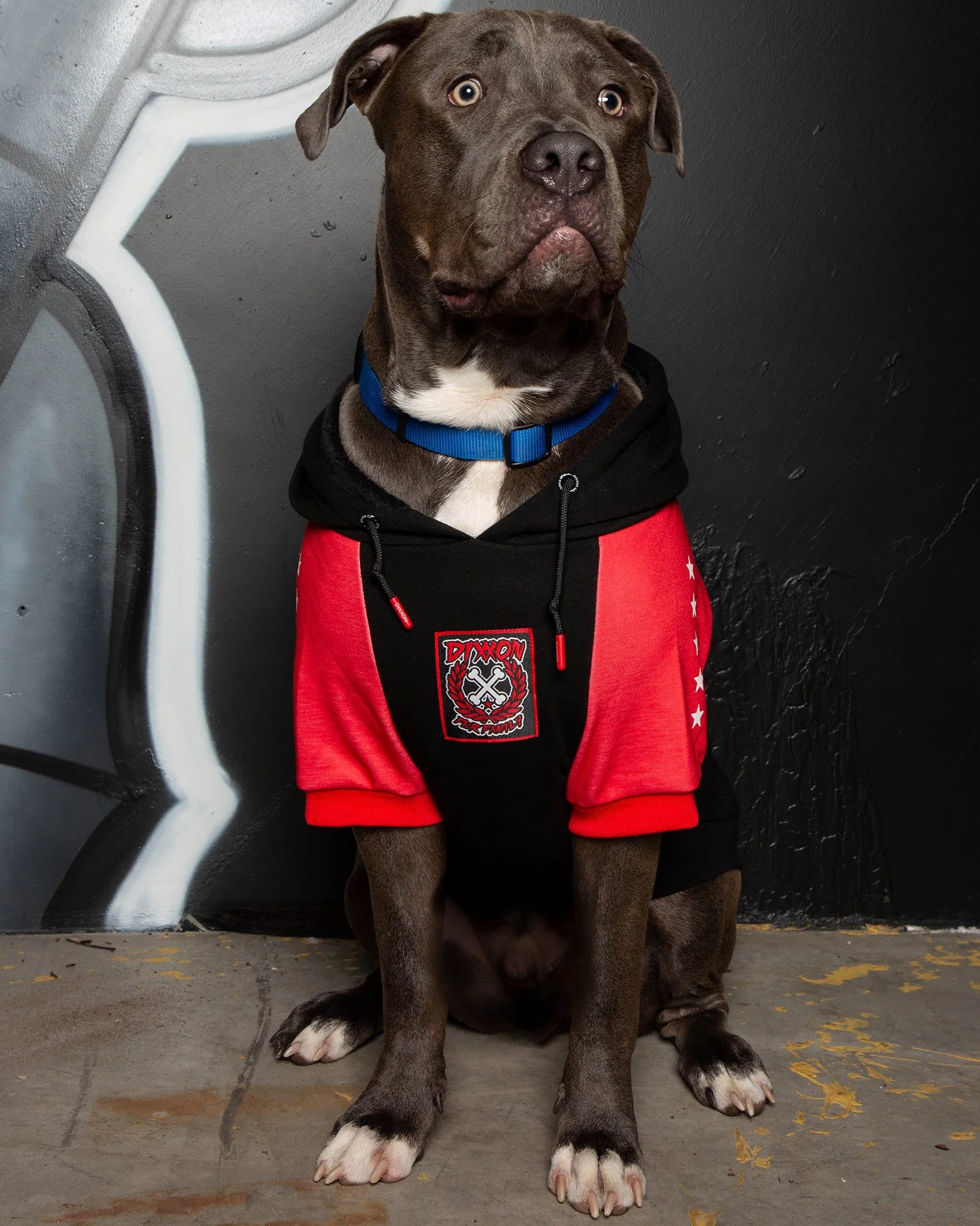 Dog Hoodie - Fur Family - Black & Red - Image 2