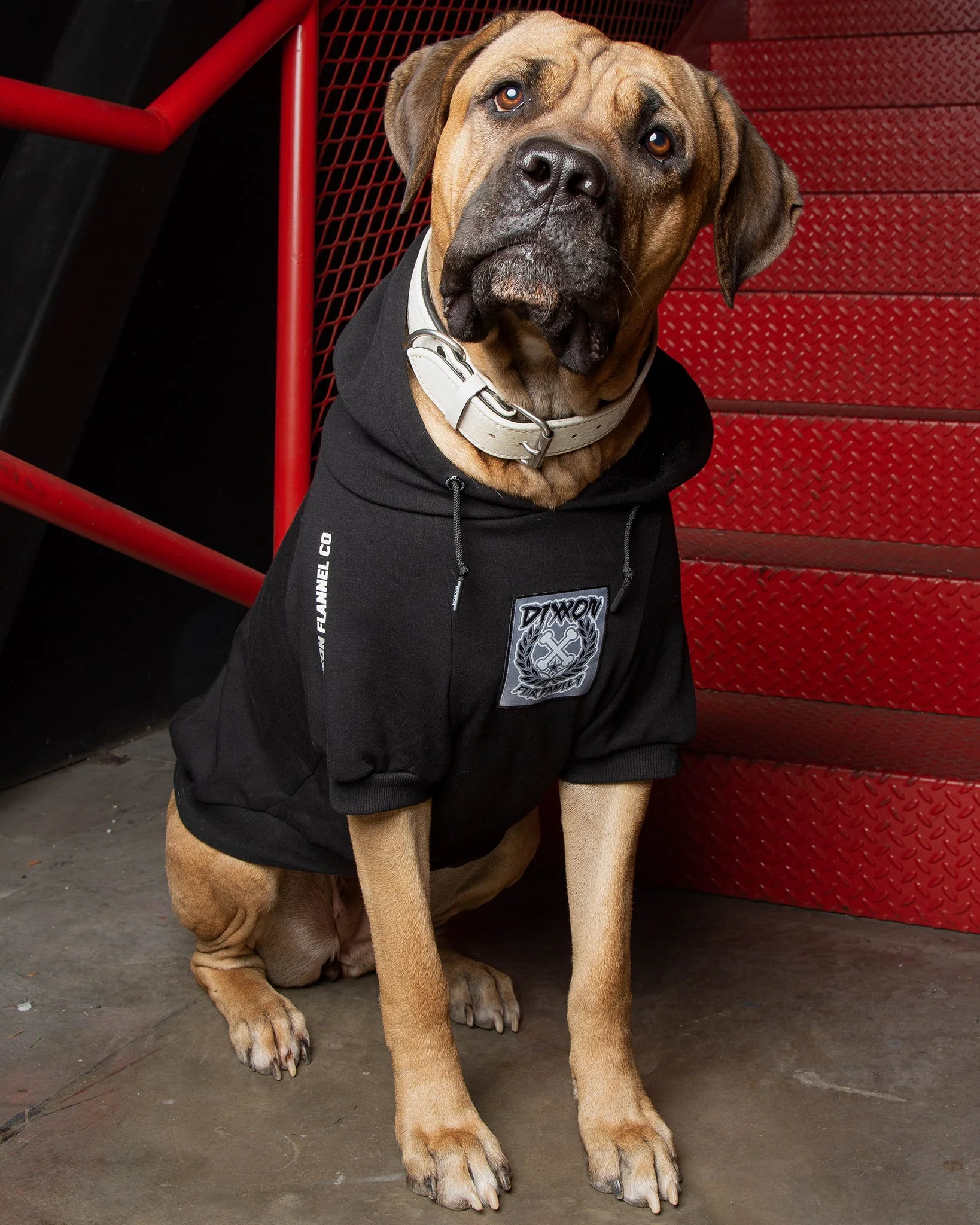 Dog Hoodie - Fur Friends In Low Places - Image 2