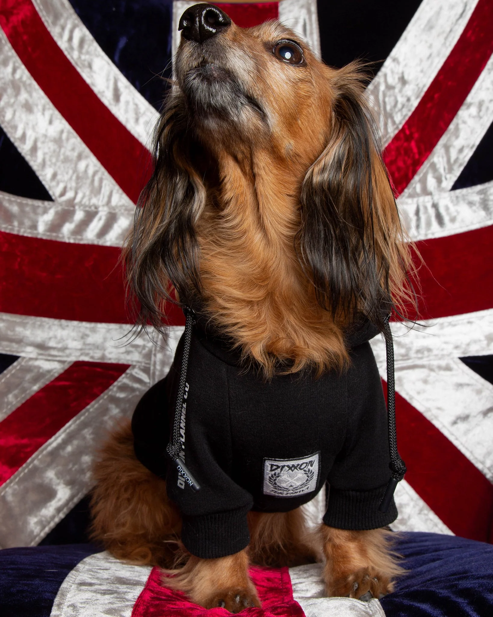 Dog Hoodie - Fur Friends In Low Places - Image 3
