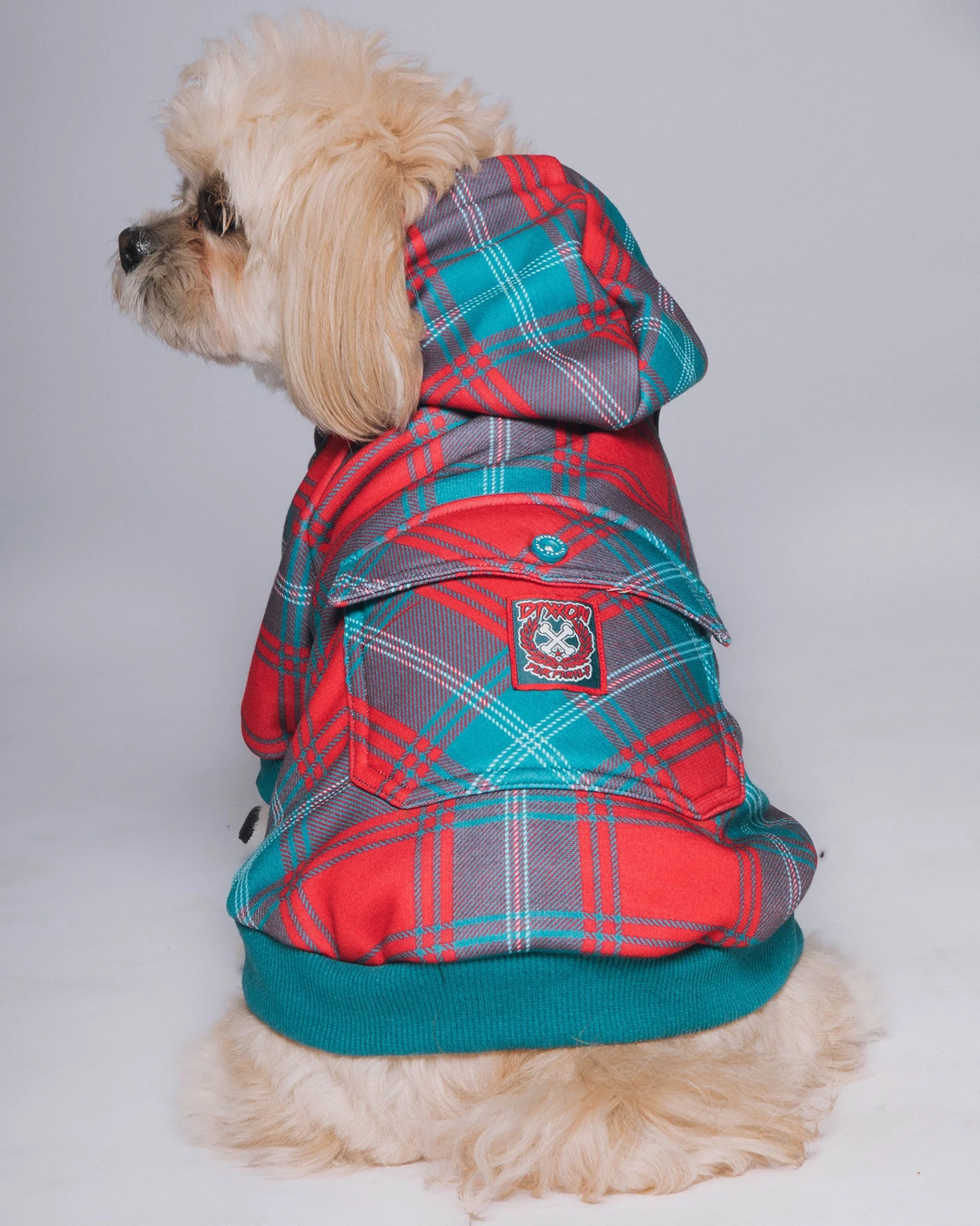 Dog Hoodie - Jingle Bells - Image 2