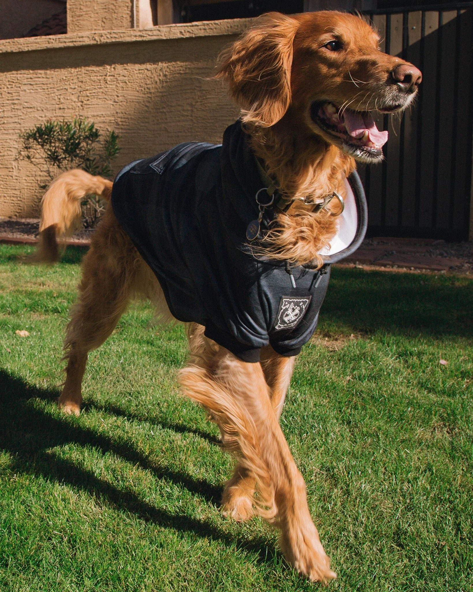 Dog Hoodie - Murked - Image 3