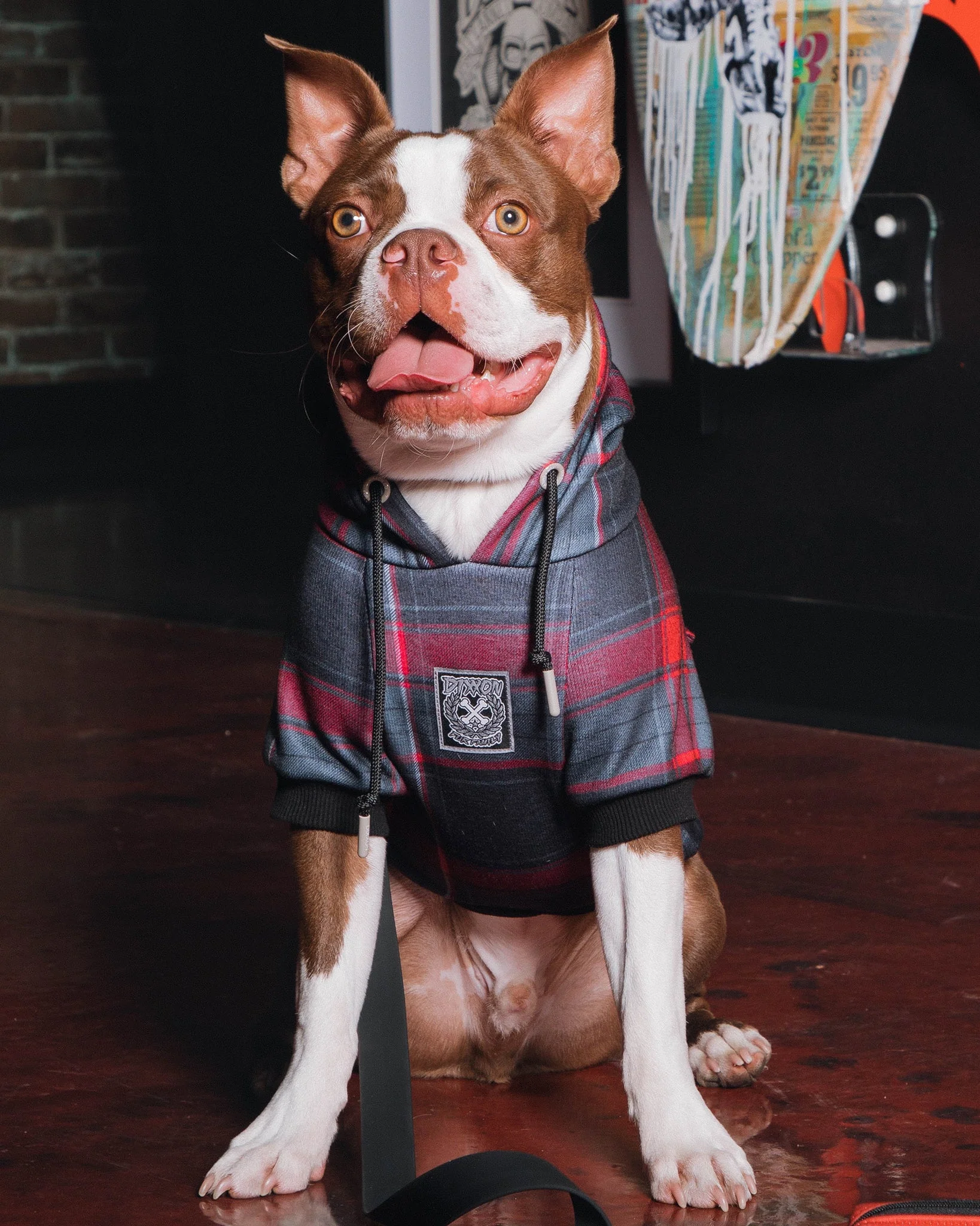 Dog Hoodie - Royal Flush - Image 2