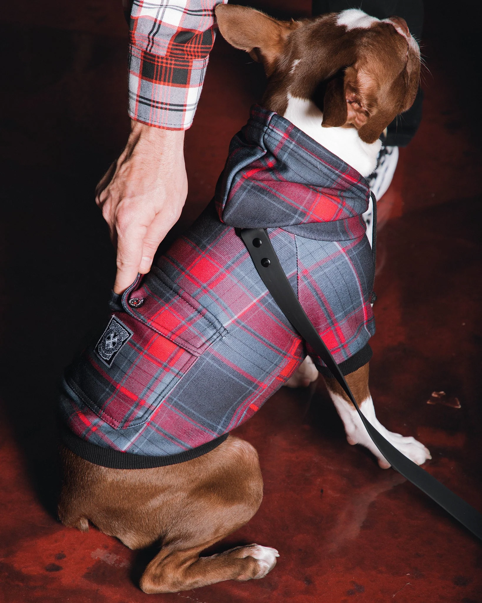 Dog Hoodie - Royal Flush - Image 3