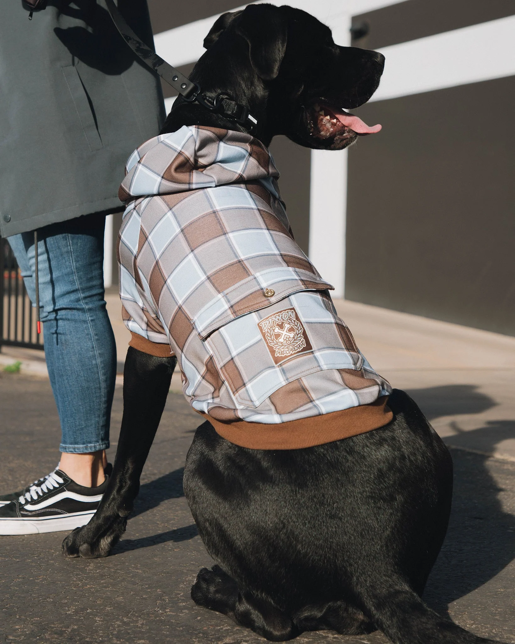 Dog Hoodie - T-Street - Image 3