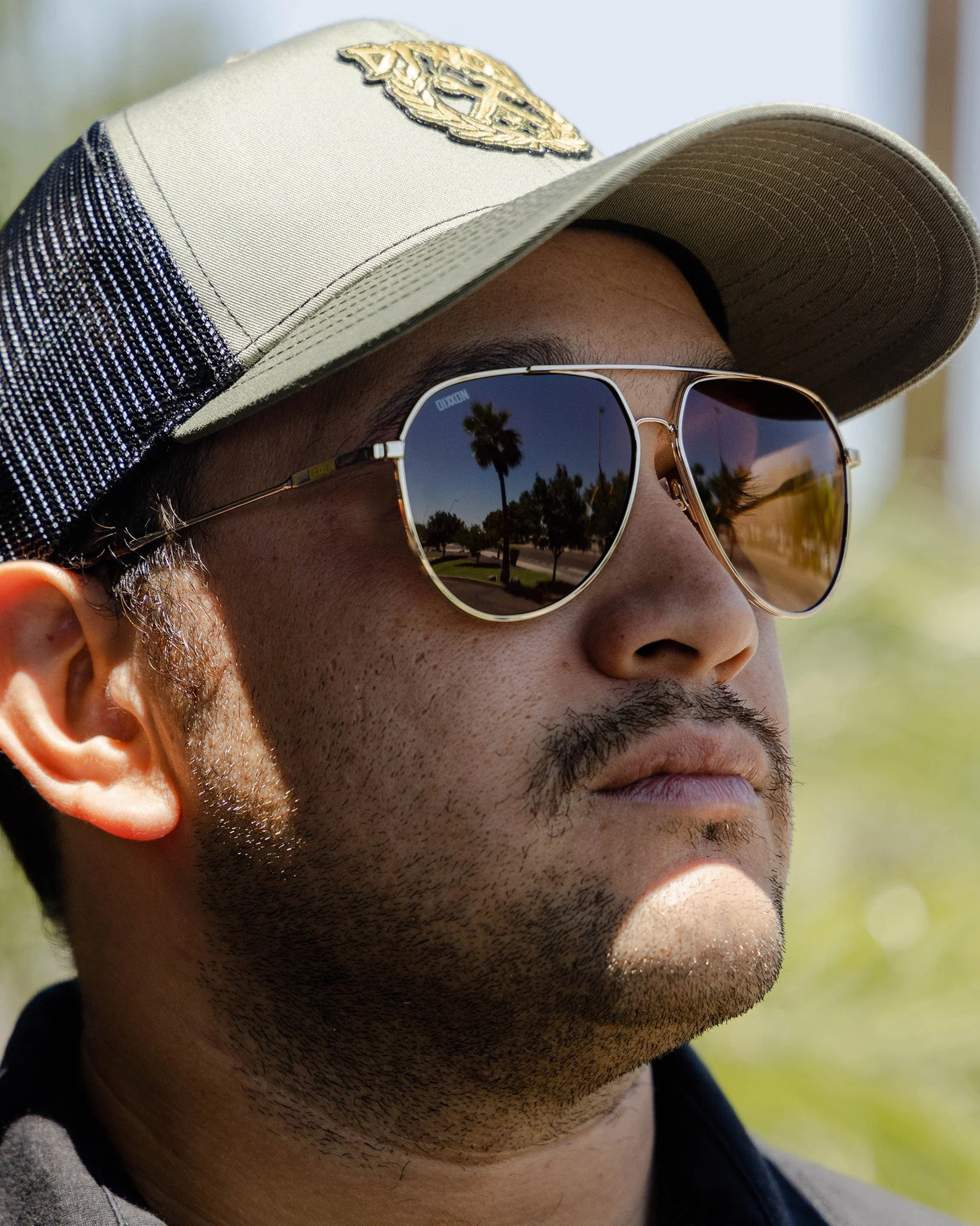 Goose Sunglasses - Gloss Gold & Bronze - Image 3