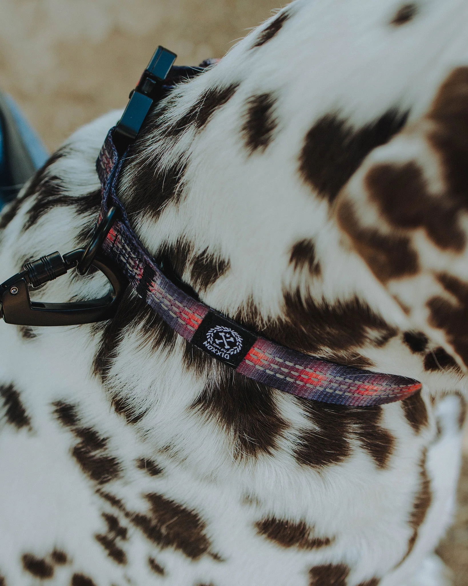 Polyester Dog Collar - Ash - Image 2