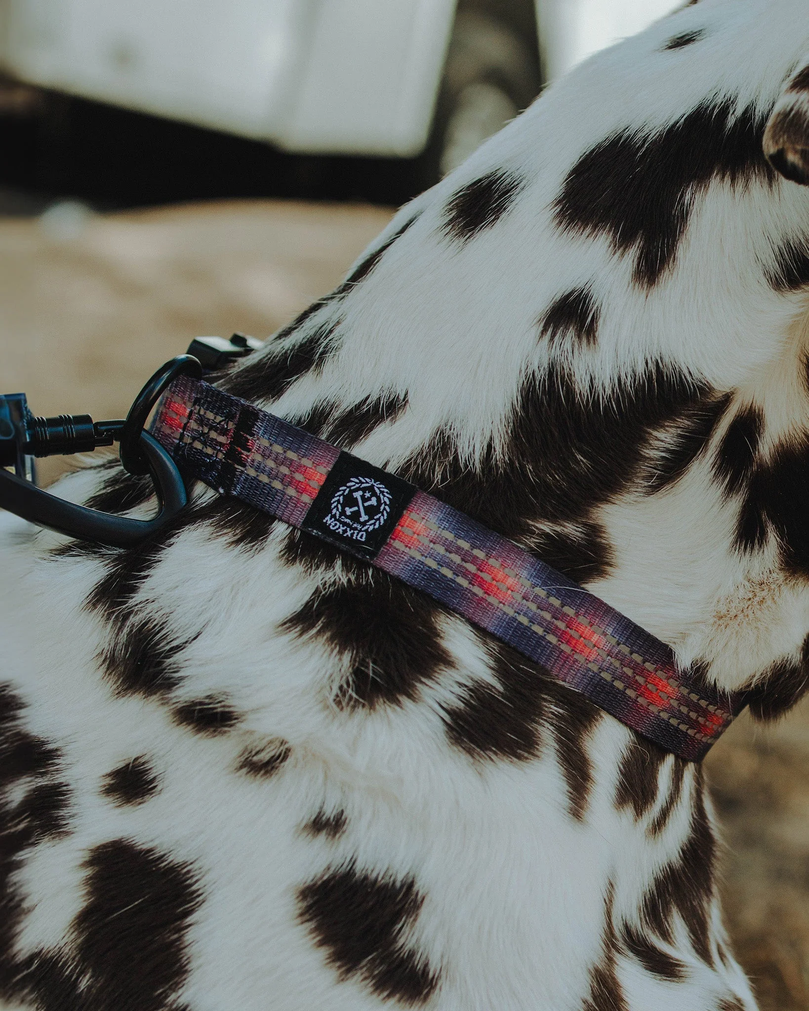 Polyester Dog Collar - Ash - Image 3