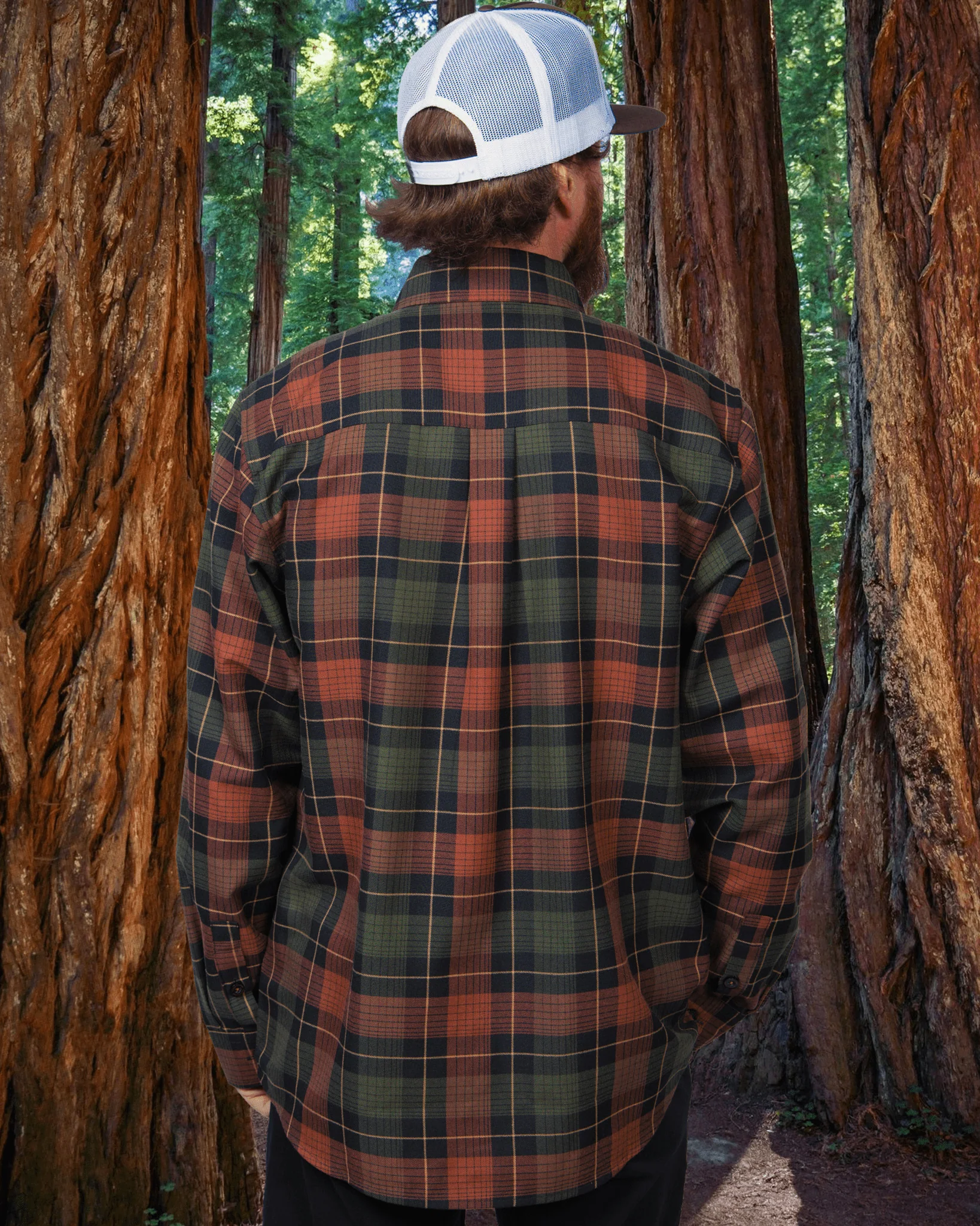 Redwood Forest Flannel - This Land Series - Image 3