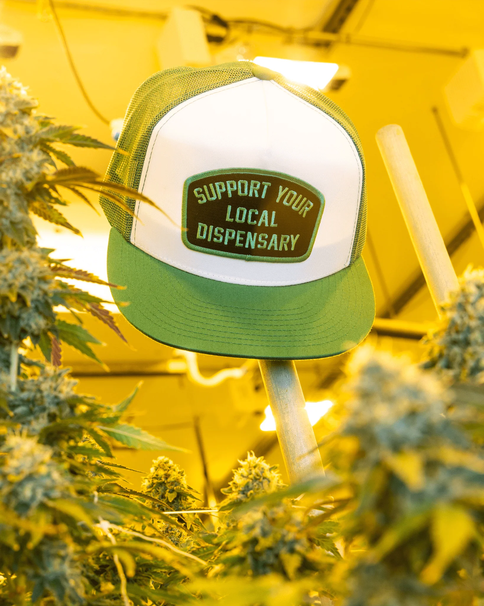 Support Your Local Dispensary Flat Bill Trucker Snapback - Image 3