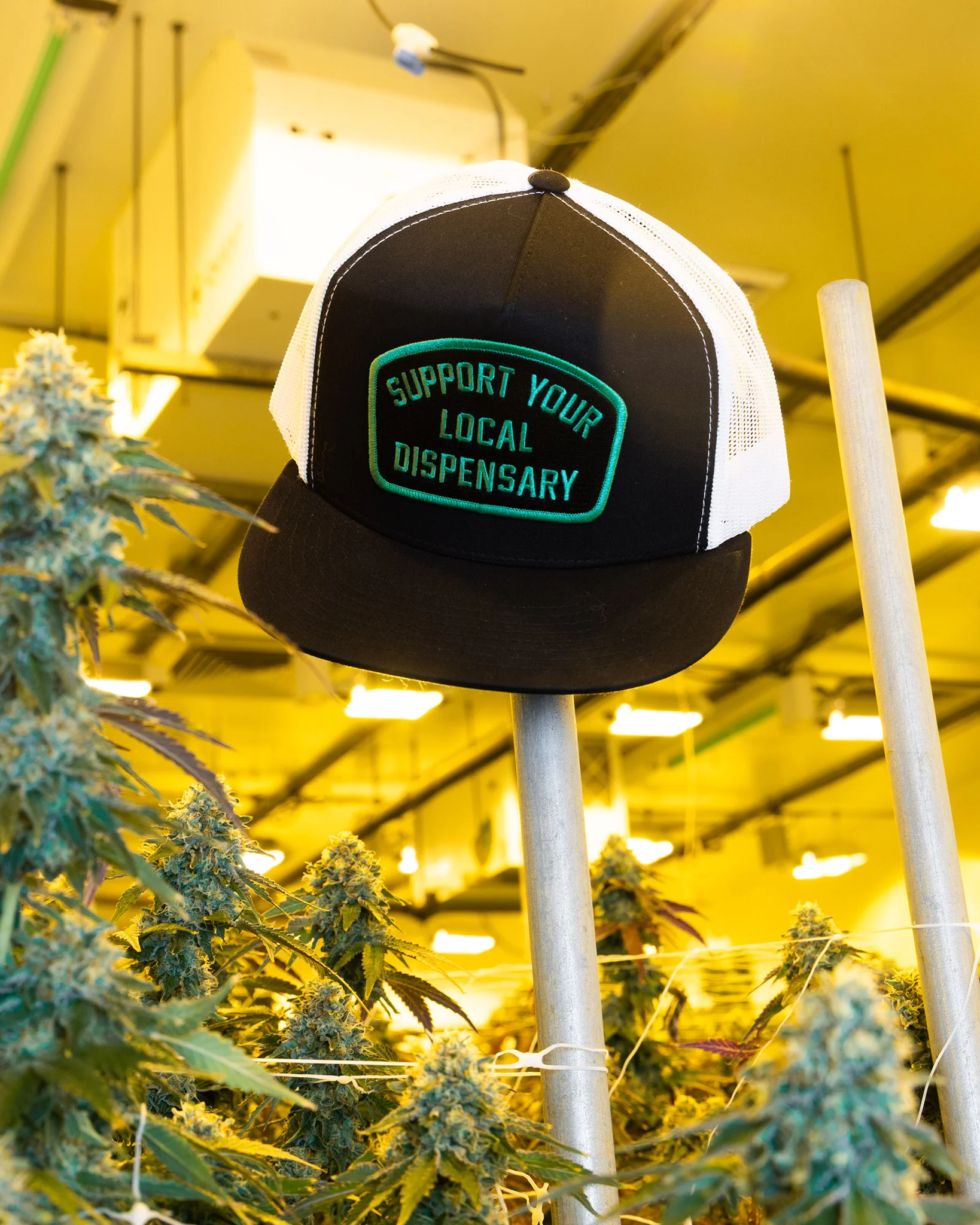 Support Your Local Dispensary Flat Bill Trucker Snapback - Image 4